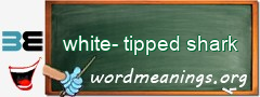 WordMeaning blackboard for white-tipped shark